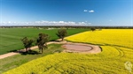 Abundance offered with flood-free, low frost risk cropping country | Video