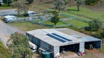 Sherglen combines a trucking operation with cattle and cropping | Video