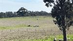 Unremarkable cattle block secures Gippsland farmer $4 million pay day