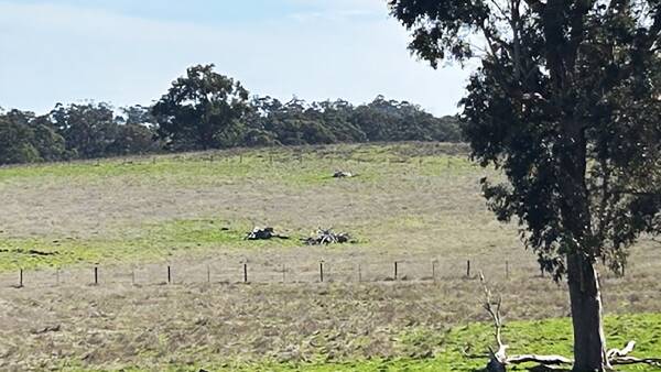 Unremarkable cattle block secures Gippsland farmer $4 million pay day