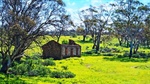 Flinders Ranges summit sheep grazing offers value for money at $600,000 plus