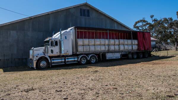 'Sheer economics': why growers are being told to use AWSS certification