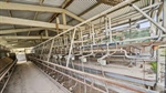 Thrifty starters have a shot at farming with this Shepparton region sale