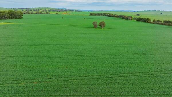 Blue-ribbon Rothesay combines scale, productivity and lifestyle | Video
