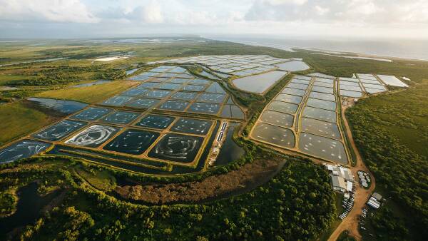 Highly developed North Qld aquaculture operation listed for $10m | Photos
