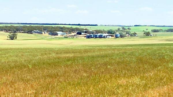 Sweet limestone farmland close to fast developing feed grain markets