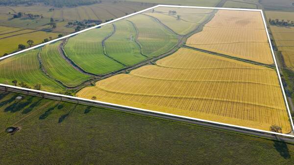 Inner Darling Downs contoured cultivation country makes $4962/acre | Video