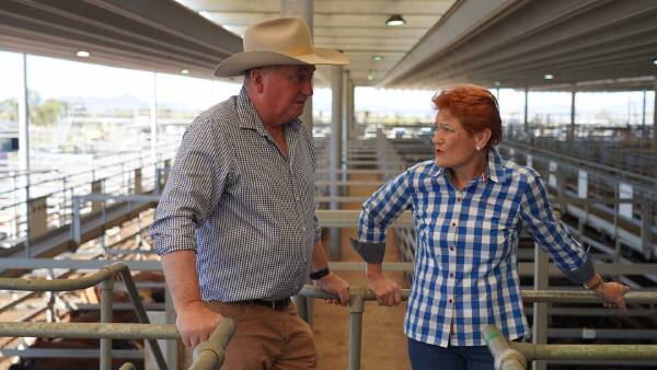 Barnaby Joyce joins Pauline Hanson, citing 'incongruous' Nationals relationship