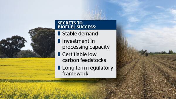 Why Australia's biofuel boom won't deliver farmer premiums in current form