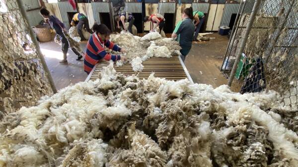 The state where growers and shearing contractors could be risking big fines