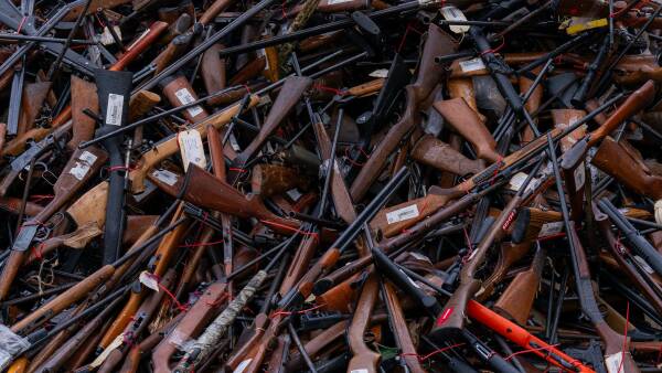 Farmers plead gun reform case to lawmakers, but Greens may decide their fate