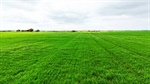 Recent SA cropping land sales show what buyers are still looking for