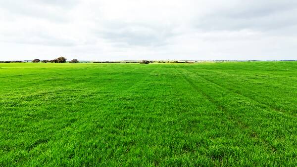 Recent SA cropping land sales show what buyers are still looking for