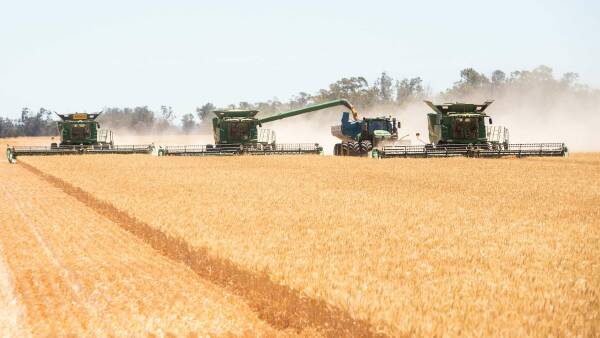 Premier dryland cropping aggregation across 6104 productive acres | Photos