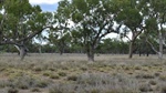 Northam: south west property perfect for to sheep, cattle, goats | Photos