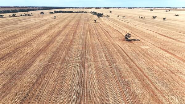 Large cropping farm in heart of the Mallee passed in for just under $3m