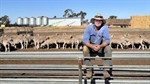 'An ace up the sleeve': how one producer is maximising lambing in the dry