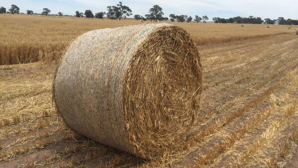 How to make money from fodder crops and still get the rotational benefits