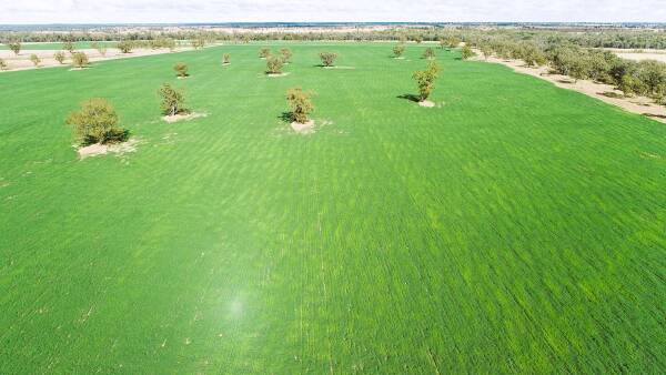 Rain events shift expressions of interest for Maranoa property to April 17