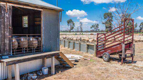 RWS overhaul: new targets, new name but will growers benefit financially?