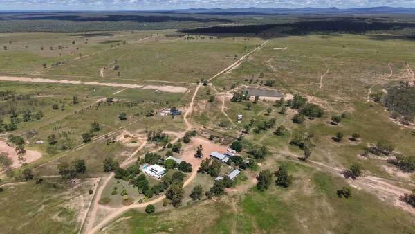 Central Qld's Mon-Abri ideal breeding and backgrounding operation | Video