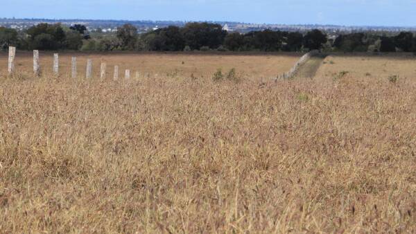 Multi-title Maranoa property with lifestyle potential heads to auction