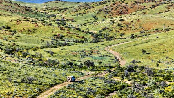 Record rain transforms Flinders Ranges station into green oasis for buyers