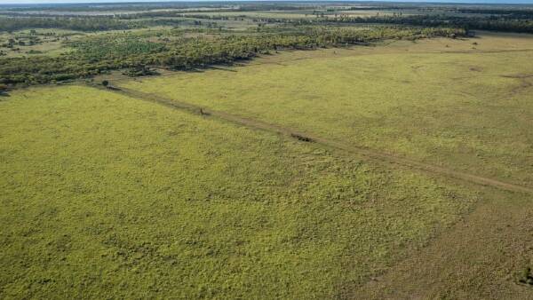 Western Downs backgrounding, finishing property sold under hammer | Video