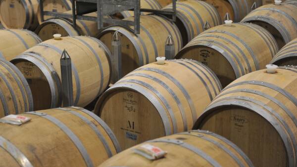 Fueled up with wine and ready to drive: new petrol crisis solution uncorked