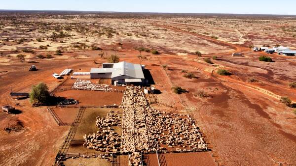 MacLachlan dynasty succession plans prompt carve up of station empire