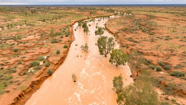 Far western country with feed for cattle and sheep hits the market | Photos