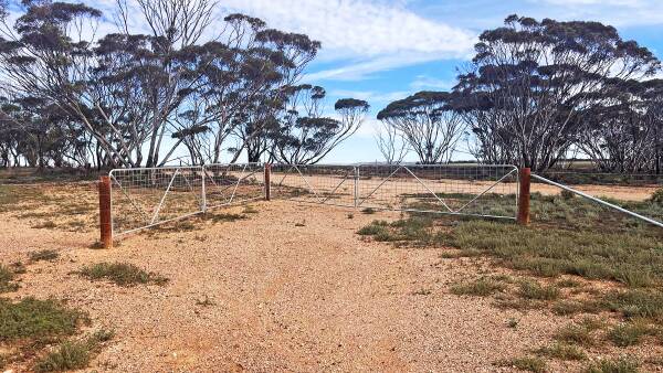 Mid North grazing land hits market for $1353/acre with new fences, troughs