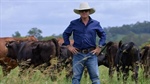 CGT fears vs US temptation: Why local livestock success story is going abroad