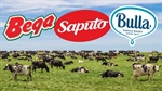 A look at all of the opening prices announced by Australian milk processors