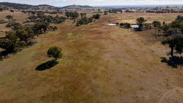 Quality livestock breeding, grazing property with upside for sale | Video
