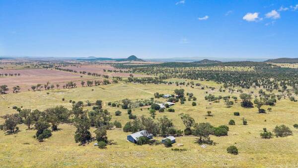 North west cattle country sold under the hammer for $1206/acre