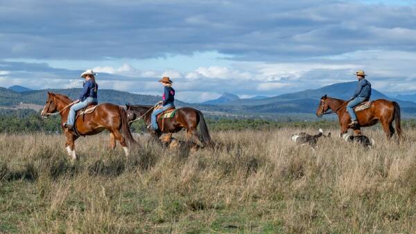 Quality country with outstanding views to the Great Dividing Range | Video