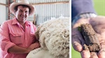 ACCUs, sequestration, insetting: a grazier's guide to carbon terms