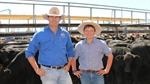 Australian cattle prices hit five-year high as rains spark herd rebuild