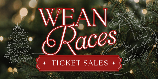 Wean Picnic Races