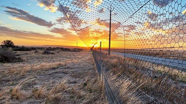 Aussie farms could be 'retired' to meet a $250m govt land buyback quota