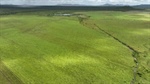 Major cattle property tops $34m in-line with pre-sale expectations | Video