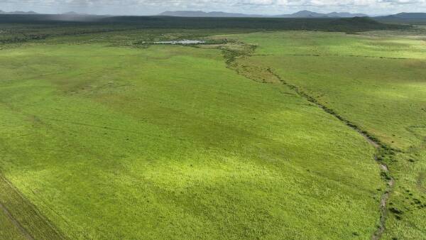 Major cattle property tops $34m in-line with pre-sale expectations | Video