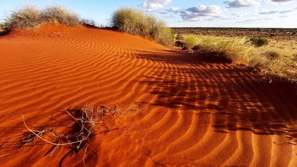 More of the nation's dry desert land added to conservation land quota