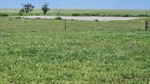 Maranoa country with access to saleyards, feedlots, processors | Photos