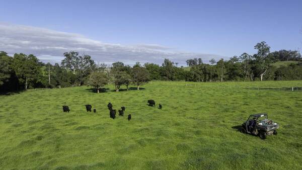 Magnificent 1295 acre Carrs Creek delivers quality rural lifestyle | Video