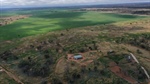 Well developed, exclusion fenced country lifts Pye's meat sheep production