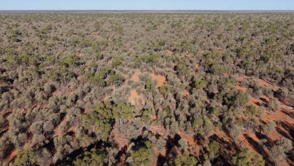 Five property carbon regeneration aggregation capitalises on nature