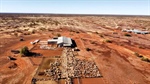 SA investor Charlie Shahin buys Jumbuck's 1.29m hectare sheep stations