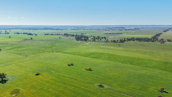Quamby presents with fertile, arable basalt and red loam country | Photos